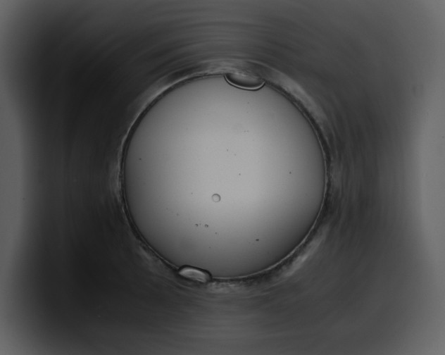 X0000100341089200806191019