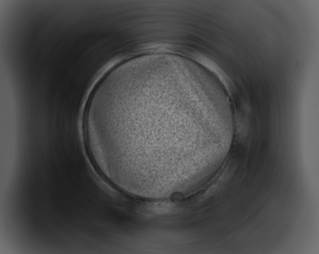 X0000100341090200806191019