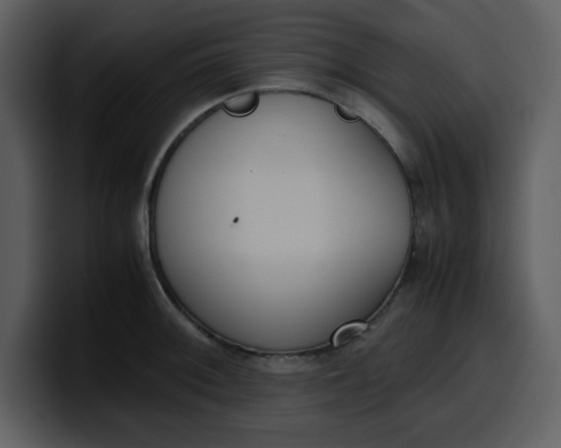 X0000100341092200806191019