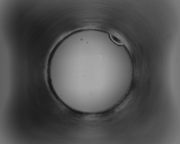 X0000100341093200806191019