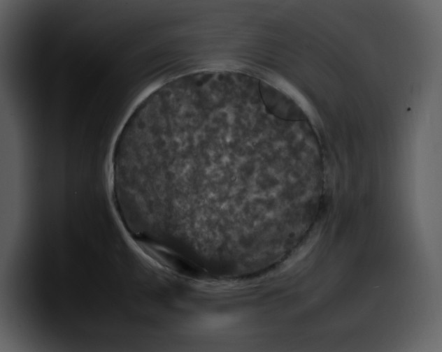 X0000100341095200806191019