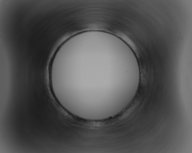 X0000100341096200806191019