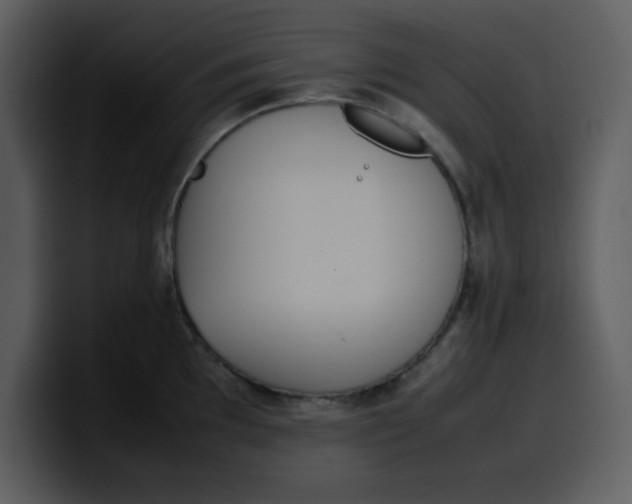 X0000100341097200806191019