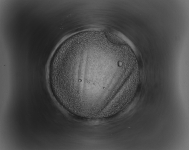 X0000100341099200806191019