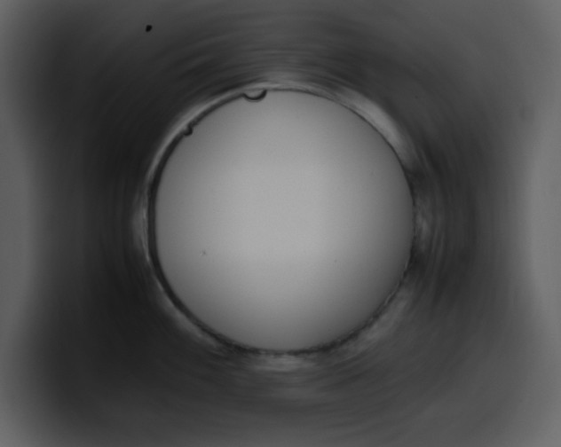 X0000100341100200806191019