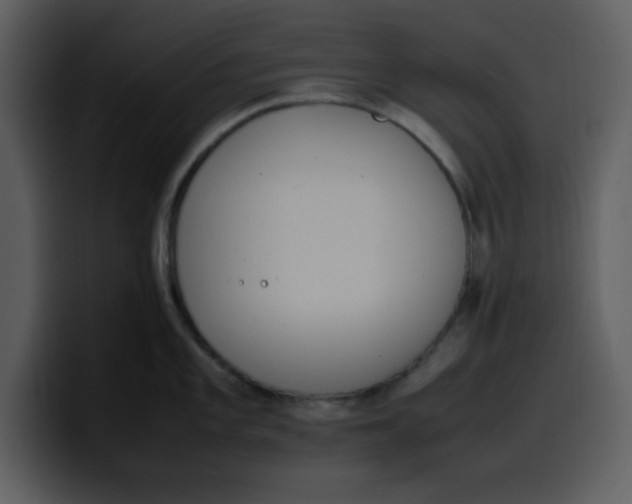 X0000100341101200806191019