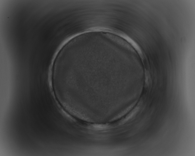 X0000100341102200806191019