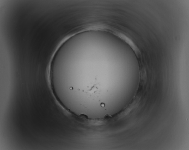 X0000100341103200806191019