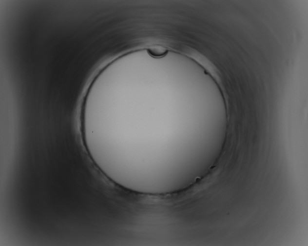 X0000100341104200806191019