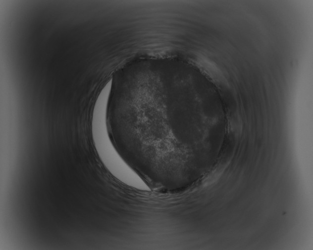 X0000100341106200806191018