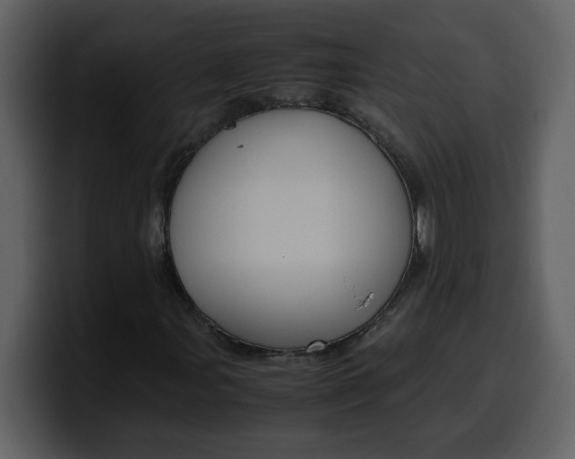 X0000100341107200806191018