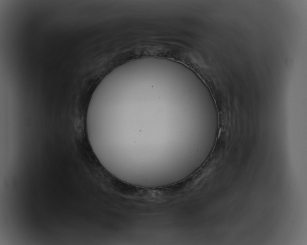 X0000100341109200806191018