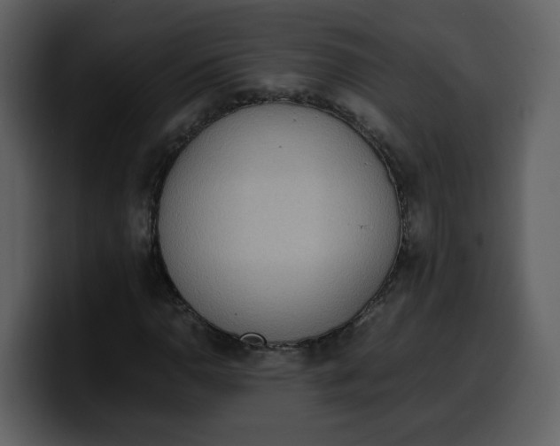 X0000100341110200806191018