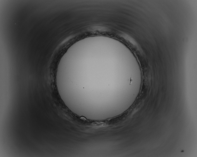 X0000100341112200806191018