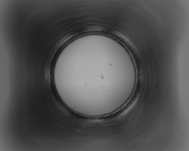 X0000100341113200806191018