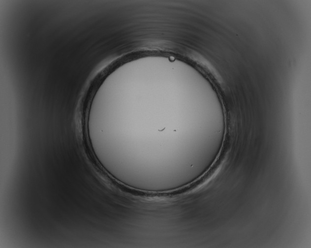 X0000100341114200806191018