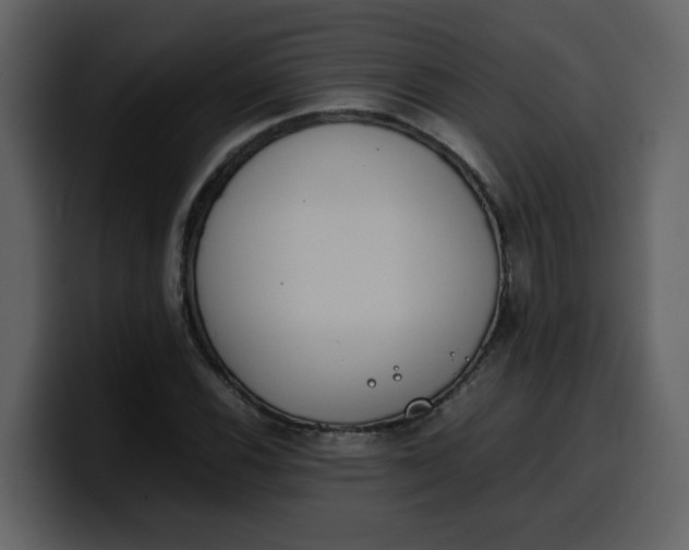 X0000100341116200806191018