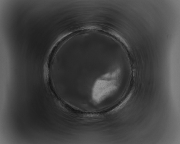 X0000100341117200806191018