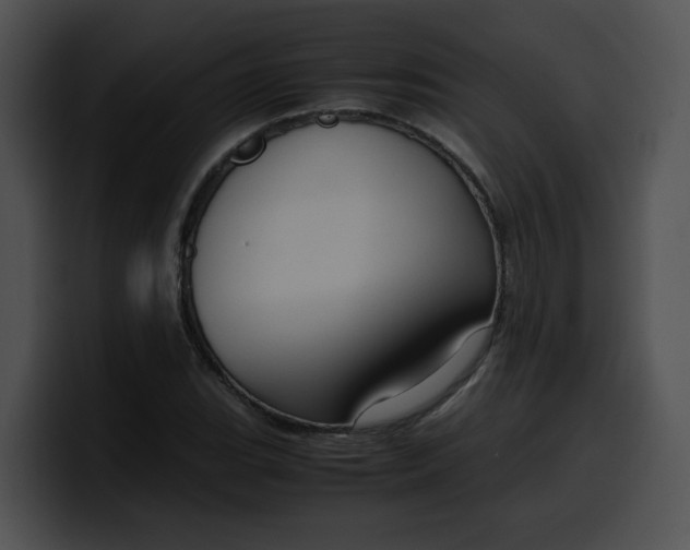 X0000100341119200806191019