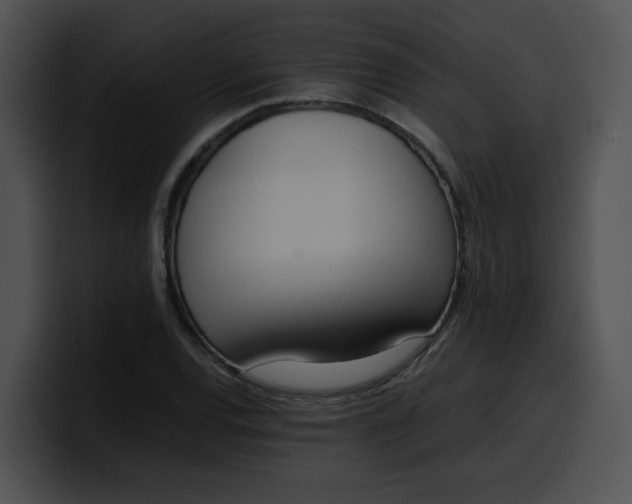 X0000100341120200806191019