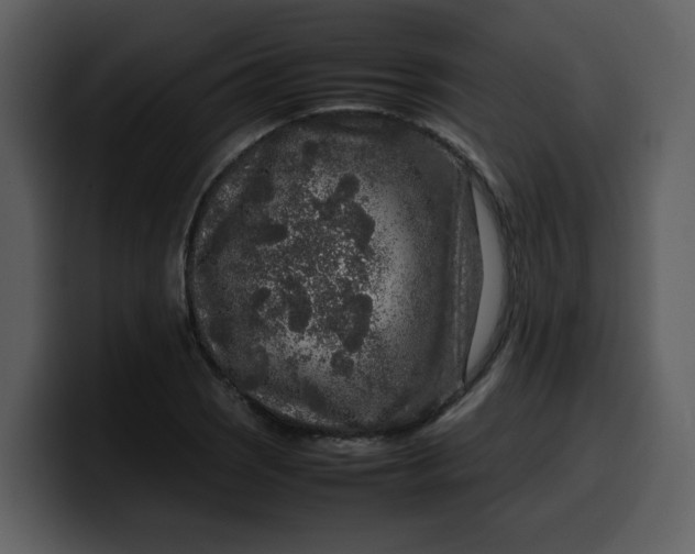 X0000100341121200806191019