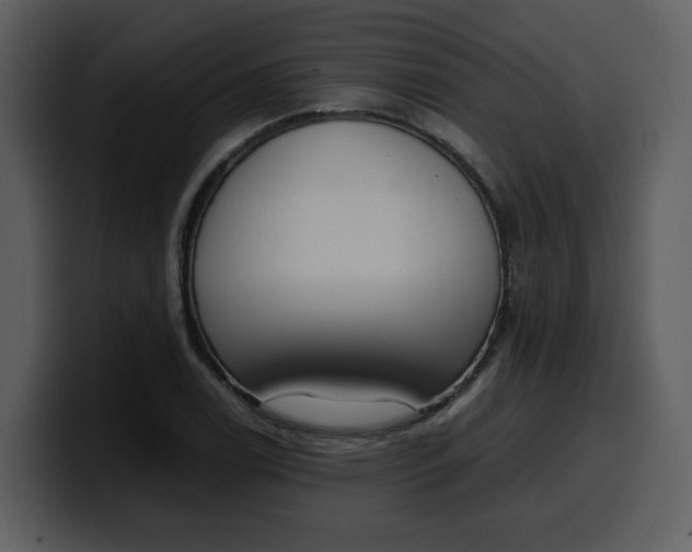 X0000100341122200806191019