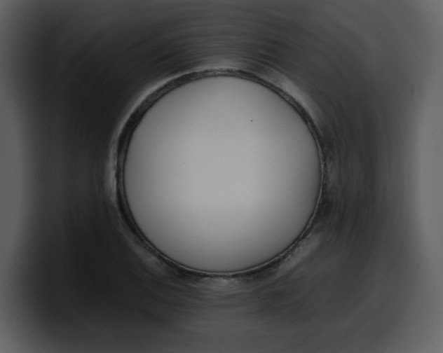 X0000100341124200806191019