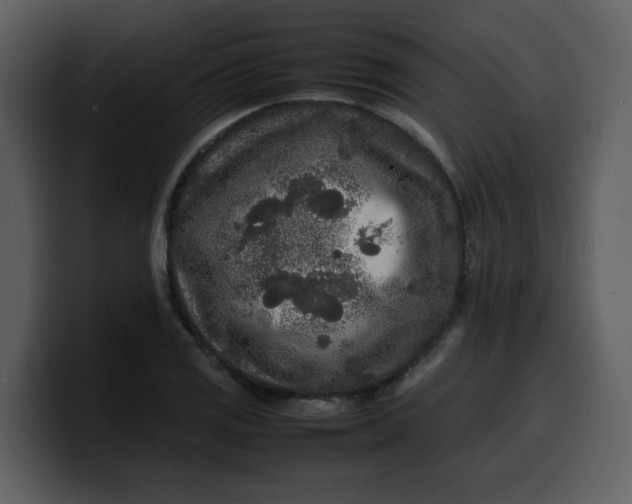 X0000100341125200806191019