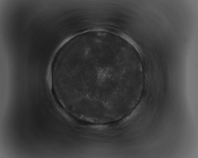 X0000100341127200806191019