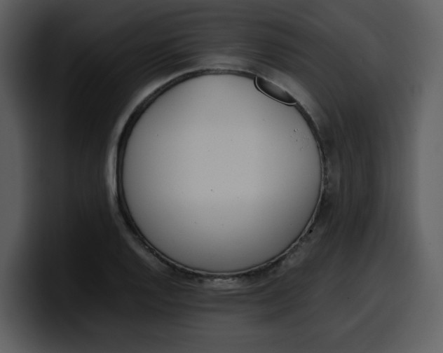 X0000100341128200806191019