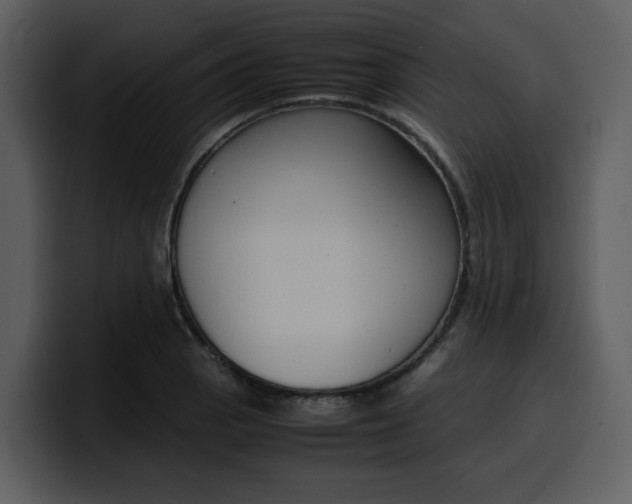 X0000100341129200806191019