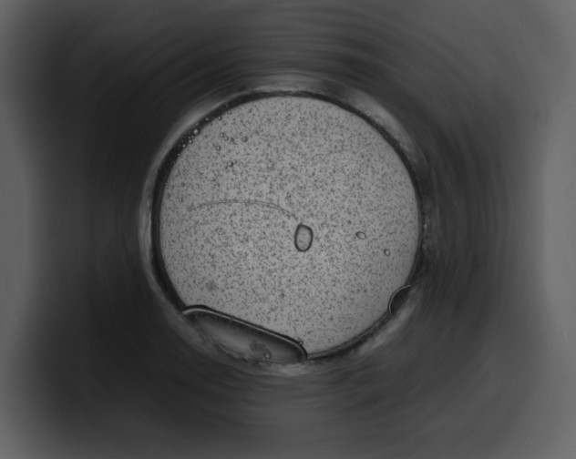 X0000100341130200806191019