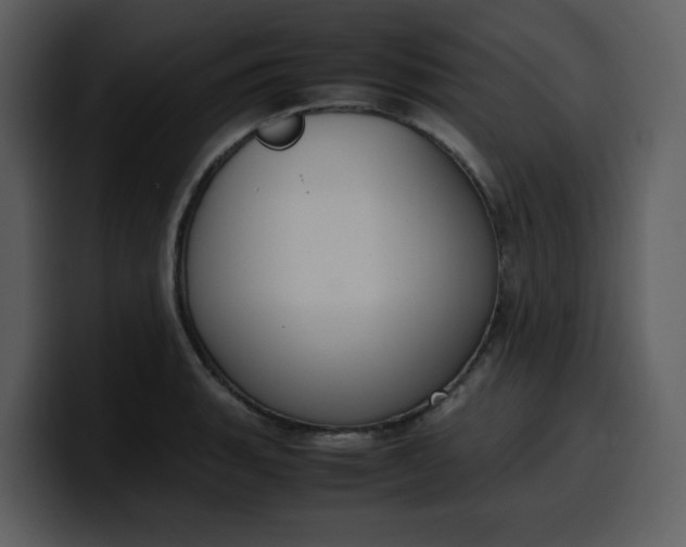 X0000100341135200806191019