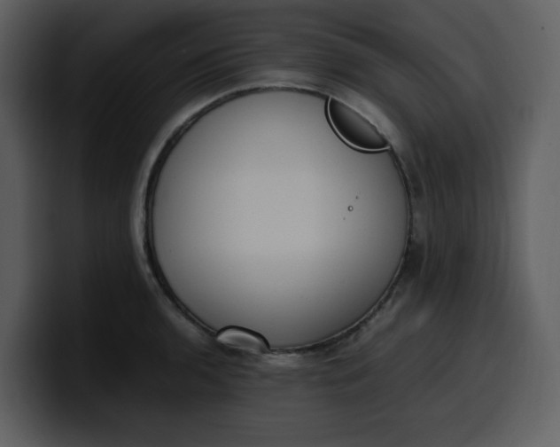 X0000100341136200806191019