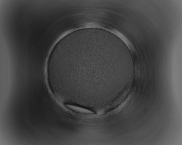 X0000100341142200806191019