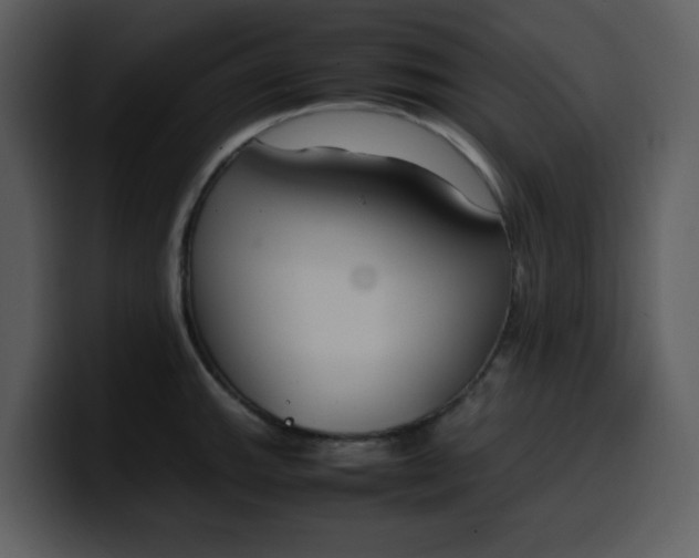 X0000100341143200806191019