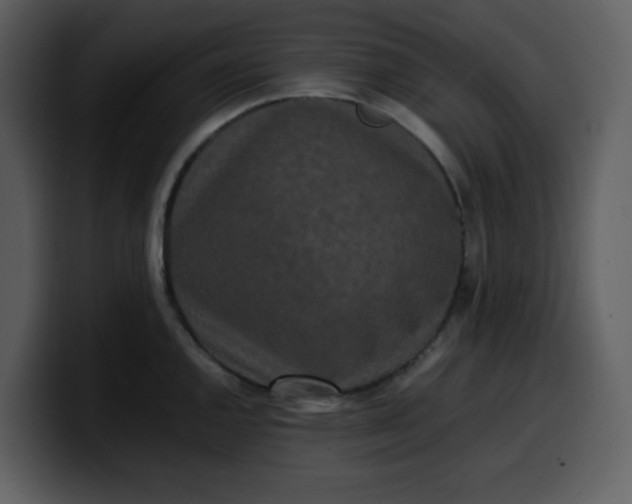 X0000100341144200806191019