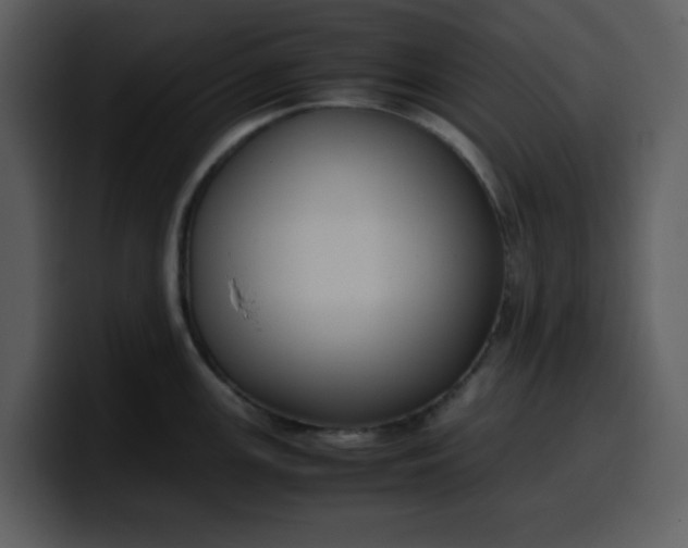 X0000100341147200806191019