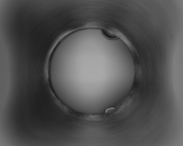 X0000100341148200806191019