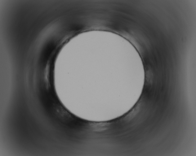 X0000100341150200806191019