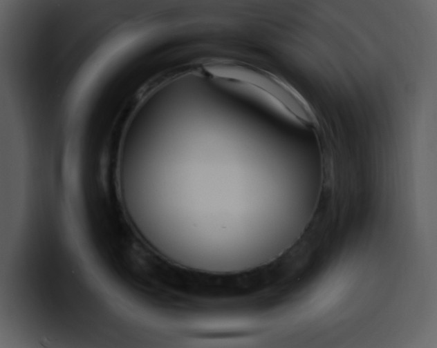 X0000100341151200806191019