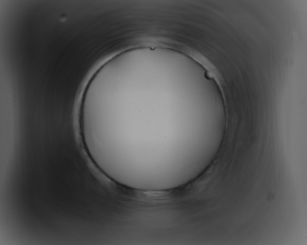 X0000100341152200806191019