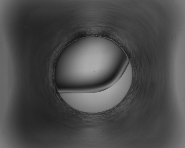 X0000100341153200806191018