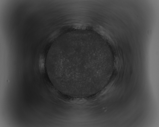 X0000100341154200806191018