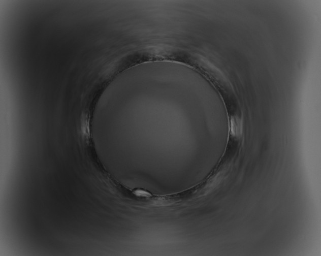 X0000100341155200806191018