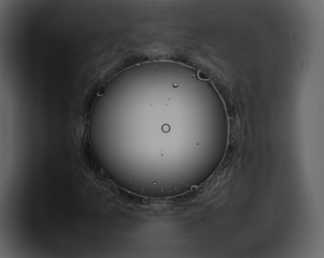 X0000100341157200806191018