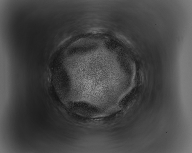 X0000100341158200806191018