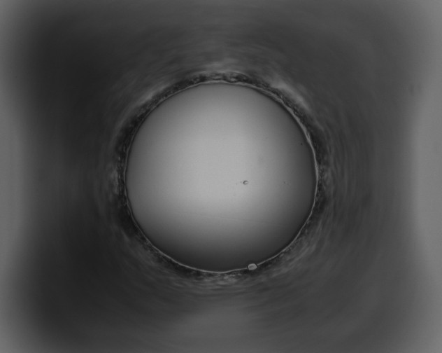 X0000100341159200806191018