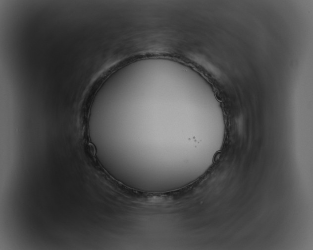 X0000100341160200806191018