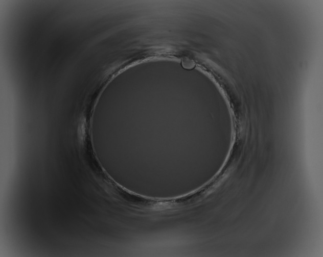 X0000100341161200806191018